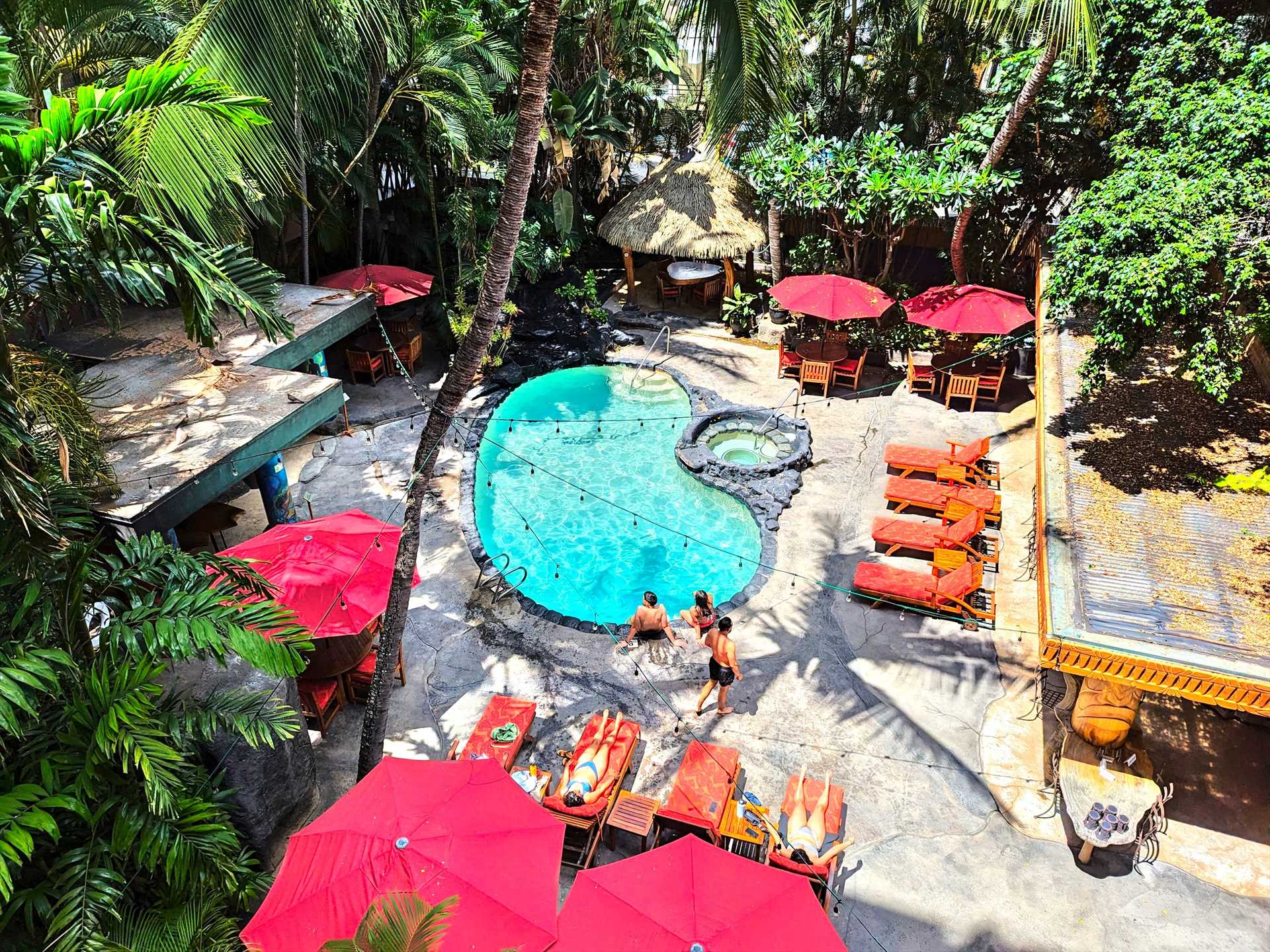 An oasis in the middle of it all